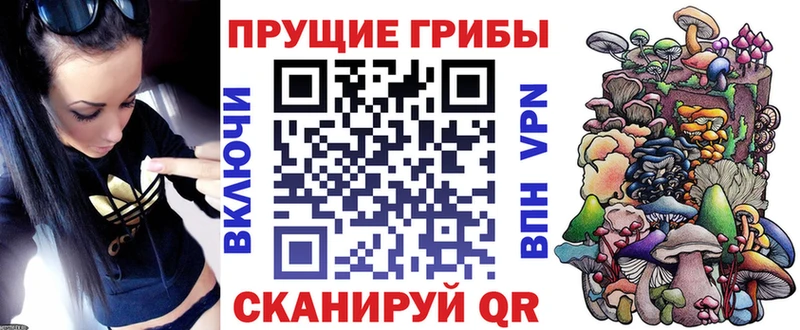 даркнет официальный сайт Белая Холуница MEGA сайт Псилоцибиновые грибы Cubensis где найти наркотики